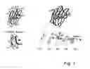 Fig. 02 - NOVEL SYNTHESIS OF GALACTOSIDE INHIBITORS