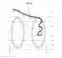 Fig. 07 - APPARATUS AND METHOD FOR SEPARATING FIBROUS MATERIAL