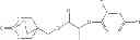 Fig. 80 - Substituted phenoxyethyl (isopropyl) acyloxyalkyl phosphonate comprising phosphorusheterocyclic ring and having herbicidal activity, and preparation therefor