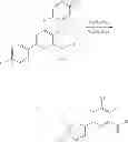 Fig. 23 - Process for the preparation of 4-amino-5-fluoro-3-chloro-6-(substituted)picolinates