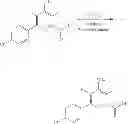 Fig. 24 - Process for the preparation of 4-amino-5-fluoro-3-chloro-6-(substituted)picolinates