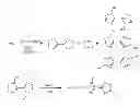 Fig. 01 - Energetic active composition comprising a dihydroxylammonium salt or diammonium salt of a bistetrazolediol