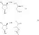 Fig. 08 - Method of preparing (+)-1,4-dihydro-7-[(3,4)-3-methoxy-4-(methylamino)-1-pyrrolidinyl]-4-oxo-1-(2-thiazolyl)-1,8-naphthyridine-3-carboxylic acid