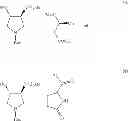 Fig. 22 - Method of preparing (+)-1,4-dihydro-7-[(3,4)-3-methoxy-4-(methylamino)-1-pyrrolidinyl]-4-oxo-1-(2-thiazolyl)-1,8-naphthyridine-3-carboxylic acid