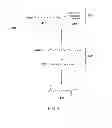 Fig. 04 - Methods of Making Functionalized Internal Olefins and Uses Thereof