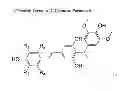 Fig. 02 - Differentiation inducer to brown-like adipocyte of white adipocyte