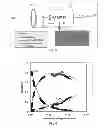 Fig. 06 - SYSTEM AND PROCESS FOR CONVERTING NATURAL GAS INTO BENZENE