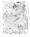 Fig. 02 - NANO SAPO-35 AND METHOD OF MAKING