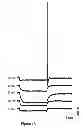 Fig. 02 - Biomolecular electronic device and process of use