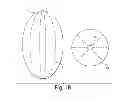 Fig. 03 - Expandable device for tissue collection from an aerodigestive body lumen