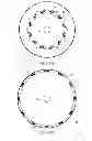 Fig. 04 - Expandable device for tissue collection from an aerodigestive body lumen