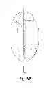 Fig. 06 - Expandable device for tissue collection from an aerodigestive body lumen