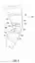 Fig. 09 - ORTHOTIC BRACE
