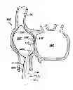 Fig. 01 - APPARATUS AND METHOD FOR TARGETING A BODY TISSUE