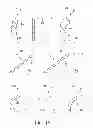 Fig. 20 - INDWELLING NEEDLE ASSEMBLY
