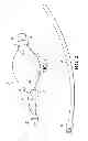 Fig. 02 - Multi-function hand pump for medical use