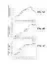 Fig. 07 - Liquid embolic material including carboxymethyl chitosan crosslinked with carboxymethyl cellulose