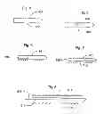Fig. 04 - Pedicle depth measuring apparatus
