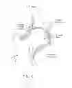 Fig. 07 - Method and apparatus for treating a hip joint, including the provision and use of a novel suture passer