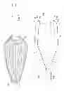 Fig. 02 - Fine membrane forceps with integral scraping feature