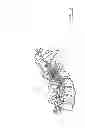 Fig. 03 - Apparatus and devices for percutaneously extending an existing spinal construct
