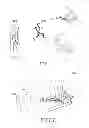 Fig. 02 - METHODS AND DEVICES FOR DETECTION OF CONTEXT WHEN ADDRESSING A MEDICAL CONDITION OF A PATIENT