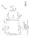 Fig. 16 - System and method for management of body temperature
