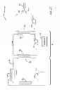 Fig. 17 - System and method for management of body temperature