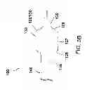 Fig. 12 - Medical balloon devices and methods