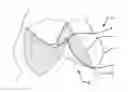 Fig. 01 - Truncated leaflet for prosthetic heart valves, preformed valve