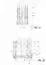 Fig. 03 - Vascular implant