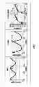 Fig. 10 - Method for physiologic control of a continuous flow total artificial heart