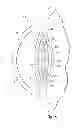 Fig. 09 - Capsule expander devices, systems, and methods for inhibiting capsular opacification and stabilizing the capsule