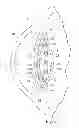 Fig. 10 - Capsule expander devices, systems, and methods for inhibiting capsular opacification and stabilizing the capsule