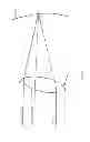 Fig. 04 - Seamless-vision, tilted intraocular lens