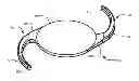 Fig. 01 - Shape memory polymer intraocular lenses