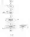 Fig. 04 - METHOD TO REDUCE FUEL CONSUMPTION WHILE OPERATING A POWER TAKE OFF