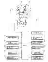 Fig. 01 - INTERNAL EGR AMOUNT CALCULATION DEVICE FOR INTERNAL COMBUSTION ENGINE