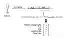 Fig. 01 - Cost-optimized design analysis for rapid microbial prototyping