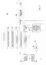 Fig. 09 - Method and apparatus for conducting automated integrated circuit analysis