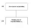 Fig. 01 - FLAME INSTABILITY DETECTION AND IDENTIFICATION IN INDUSTRIAL FURNACES