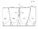 Fig. 01 - Creating a digital dental model of a patient's teeth using interproximal information