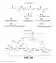 Fig. 05 - PREDICTION OF MOLECULAR BIOACTIVATION
