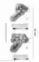 Fig. 09 - PREDICTION OF MOLECULAR BIOACTIVATION