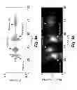 Fig. 10 - Weld analysis using laser generated narrowband Lamb waves