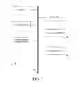 Fig. 02 - LOCAL RECOGNITION OF CONTENT