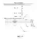 Fig. 22 - SYSTEMS AND METHODS FOR STREAMLINING DATA COMPILATION AND REPORT GENERATION