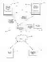 Fig. 01 - Portable handheld device for wireless order entry and real time payment authorization and related methods