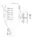 Fig. 04 - Processing of Exercised Options