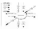 Fig. 01 - Devices and methods supporting content delivery with adaptation services with feedback